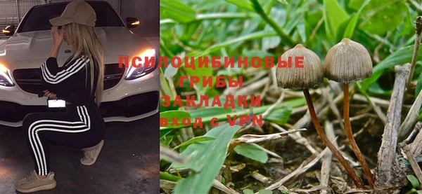 гидра Алзамай